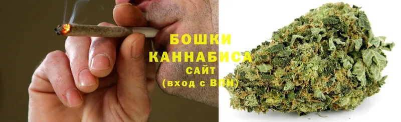 Шишки марихуана SATIVA & INDICA  Нестеровская 